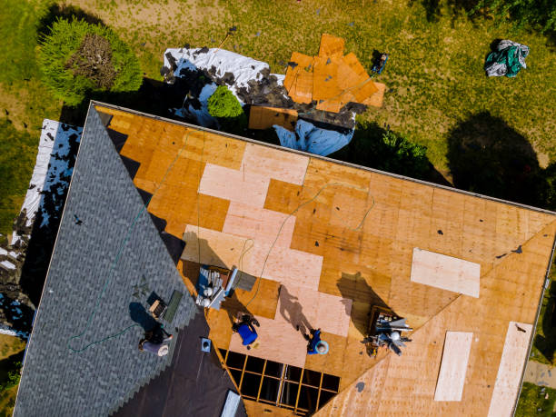Best Metal Roofing Contractor  in South Jacksonvle, IL