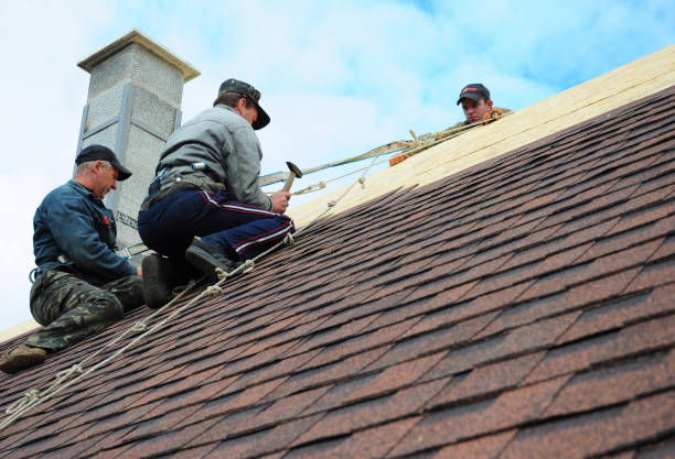 Best Residential Roofing Contractor  in South Jacksonvle, IL